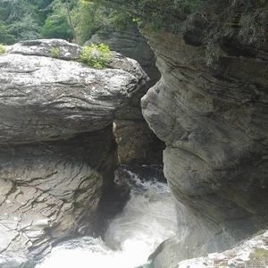 Meet your Posher, Tom